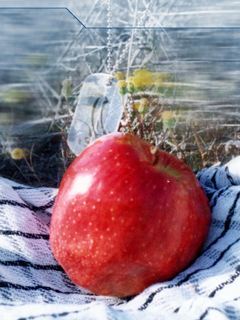 گلزار شهدای مجازی